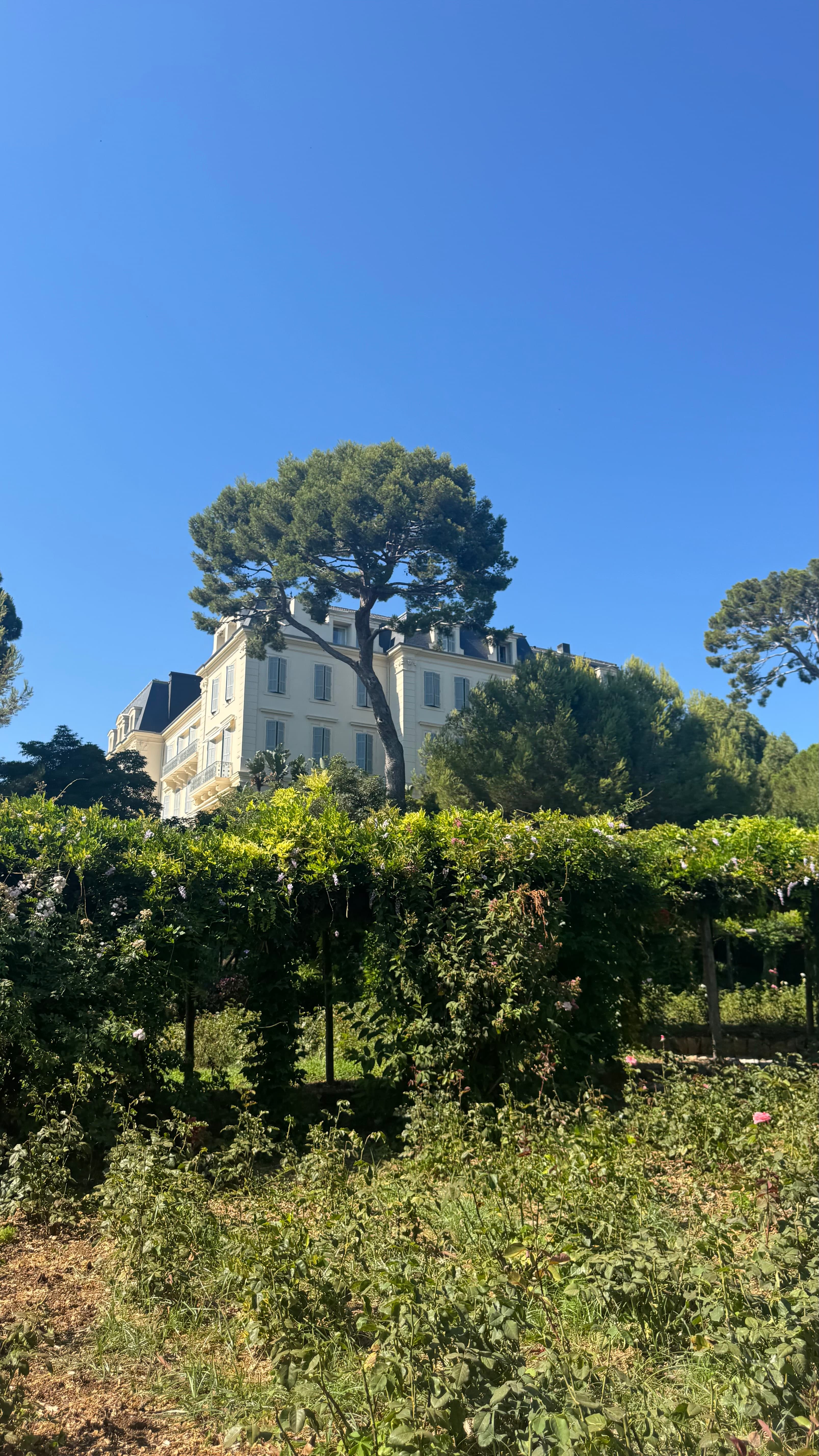 A Bordeaux venue